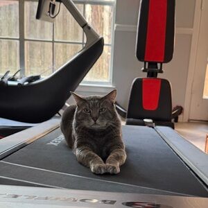 Meet your Posher, RK